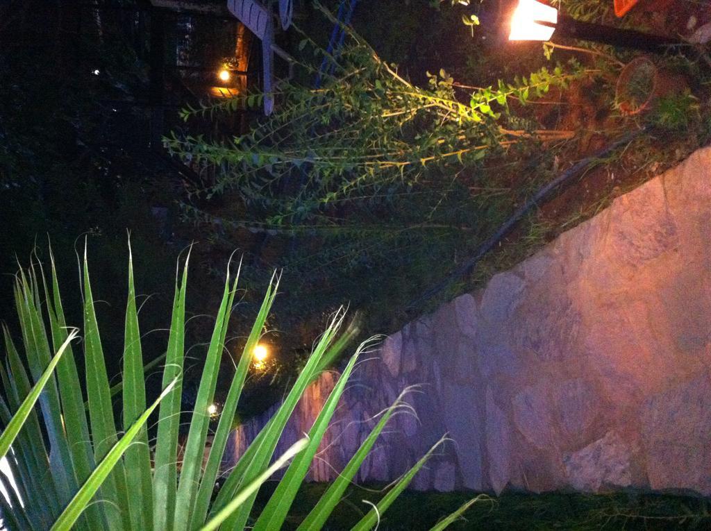 Cesur Pansiyon Otel Çıralı Dış mekan fotoğraf