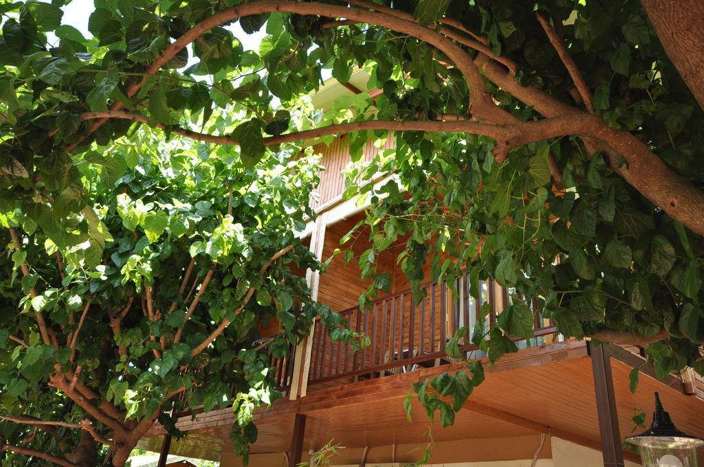 Cesur Pansiyon Otel Çıralı Dış mekan fotoğraf