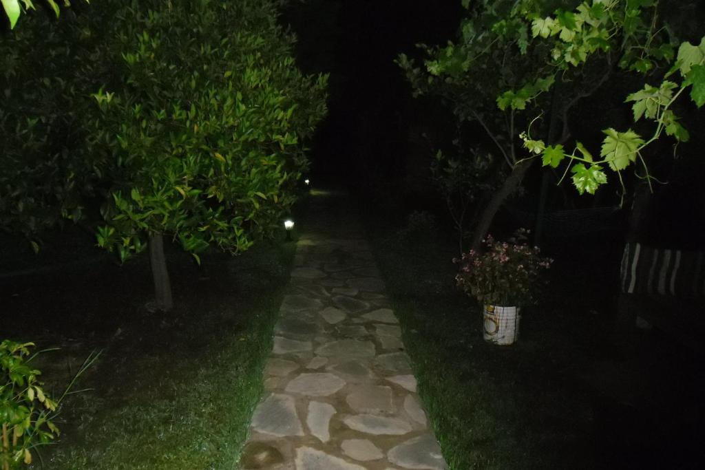 Cesur Pansiyon Otel Çıralı Dış mekan fotoğraf