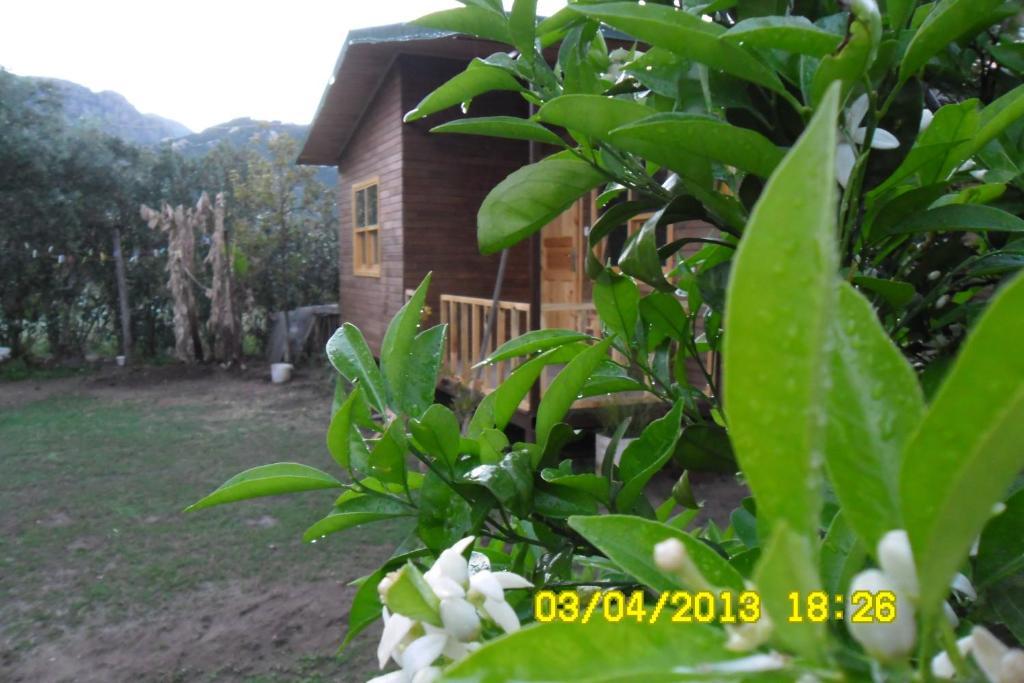 Cesur Pansiyon Otel Çıralı Oda fotoğraf