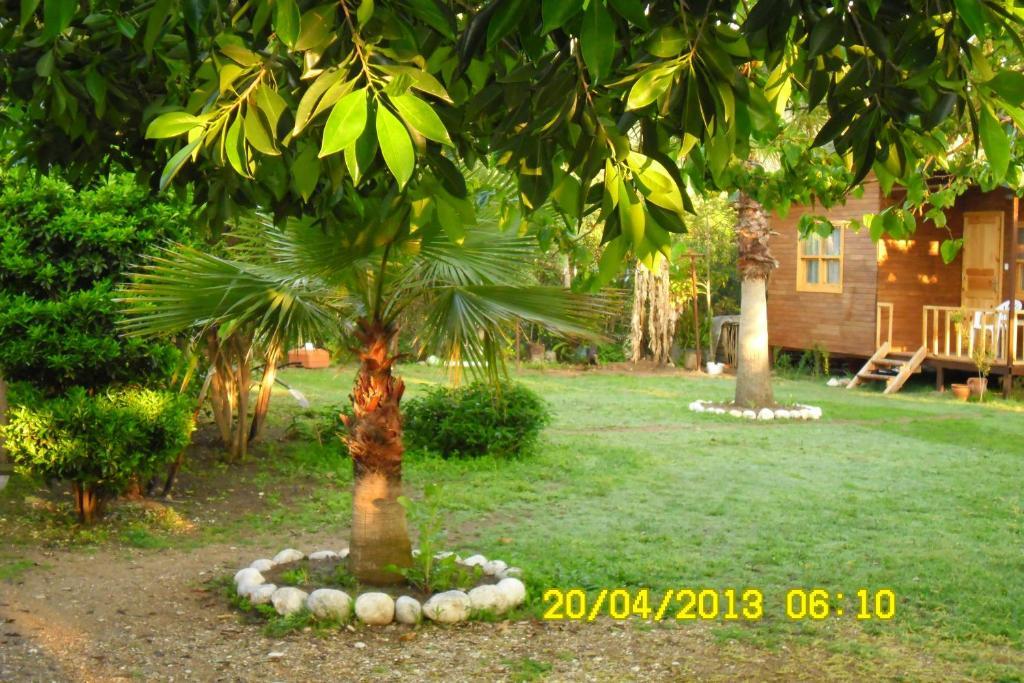 Cesur Pansiyon Otel Çıralı Oda fotoğraf
