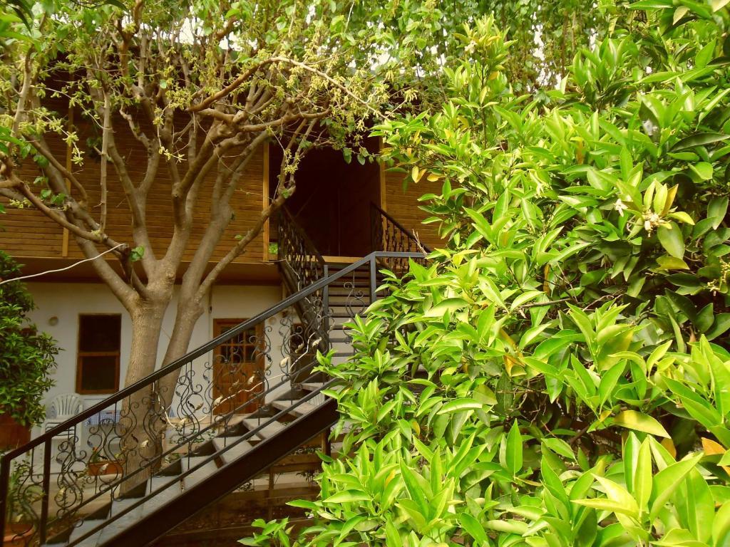 Cesur Pansiyon Otel Çıralı Dış mekan fotoğraf