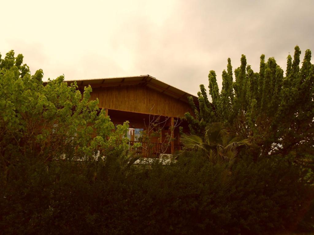 Cesur Pansiyon Otel Çıralı Dış mekan fotoğraf